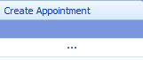 8. Create Appointment button