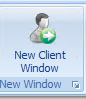 6. New Client Window
