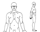 2. Body Image