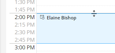 The resize icon appears when you hover over the top or bottom of an appointment in the appointment book.