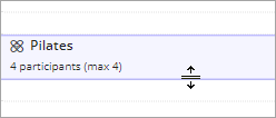 The resize icon appears when you hover over the top or bottom of an appointment in the appointment book.