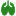 Lung Category 1