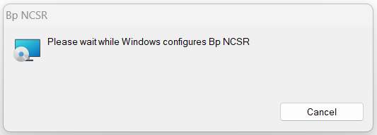 Bp NCSR Windows Installer running