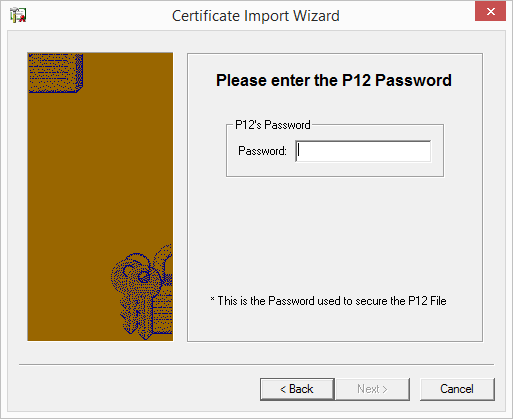 Certificate Import Wizard p12 password