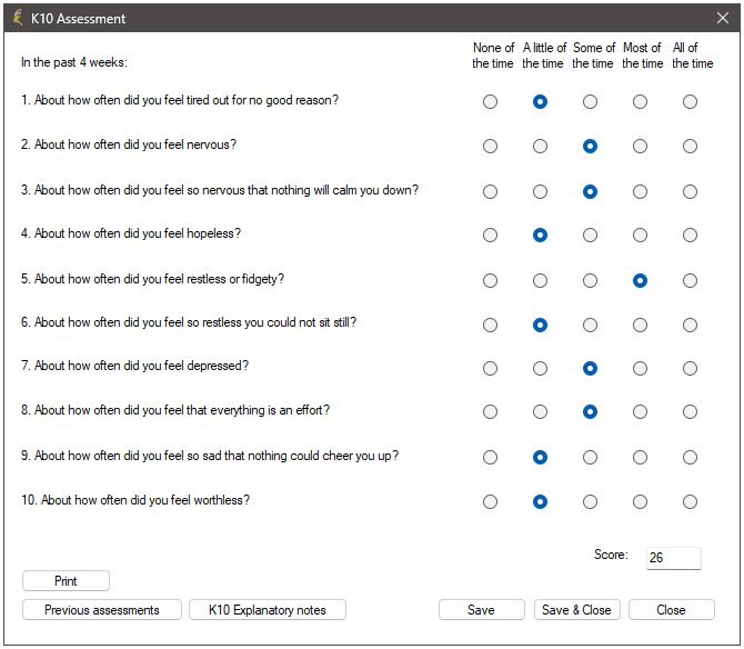 K10 Assessment