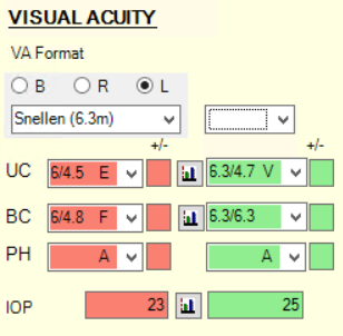 Visual Acuity Format Field
